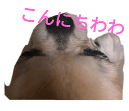 554503126