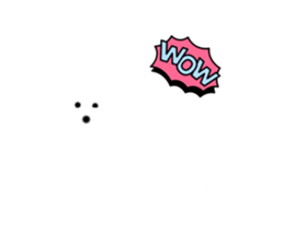 554505035