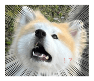 554525242