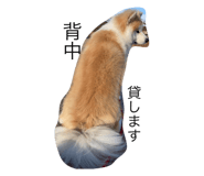 554525248