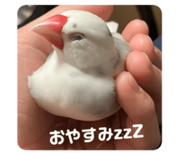 554525537