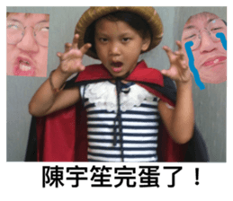 554526423