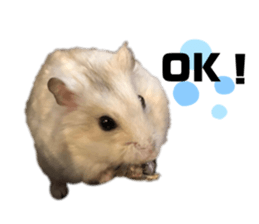 554539174