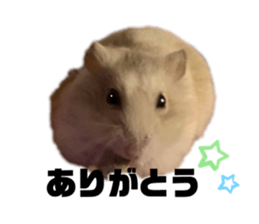 554539179