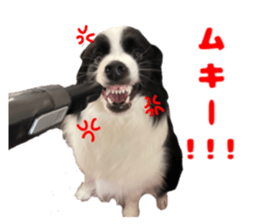 554552029