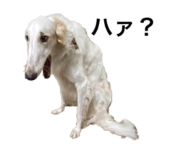 554564195