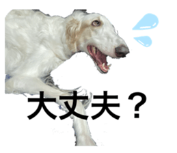 554564199