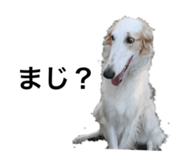 554564200
