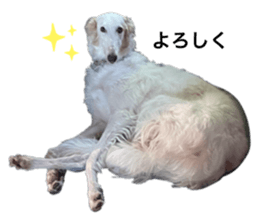 554564225