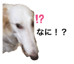 554564227