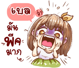 55456497