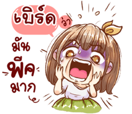 55456817