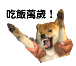 554575779