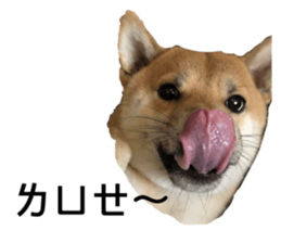 554575781