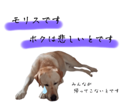 554576652