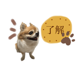 554577377
