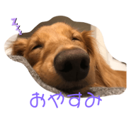 554578015