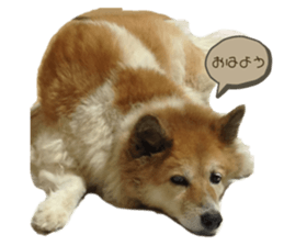 554583895