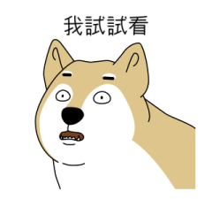 554606206