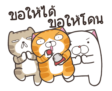 เหมียวซ่า : ซานต้ามาแล้ว! รูปที่ 6