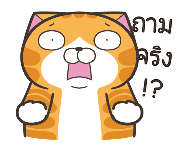 เหมียวซ่า : ซานต้ามาแล้ว! รูปที่ 9
