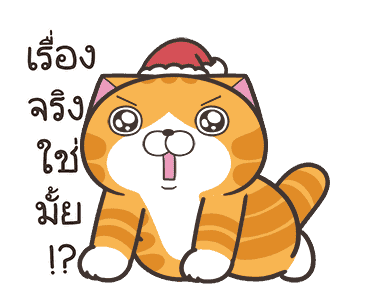 เหมียวซ่า : ซานต้ามาแล้ว! รูปที่ 12