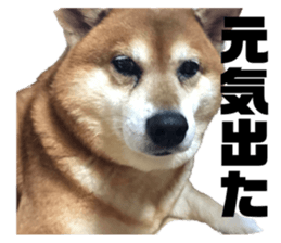 554609457