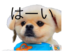 554635097
