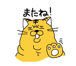 5546387