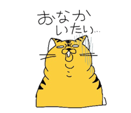 5546389