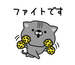554663252