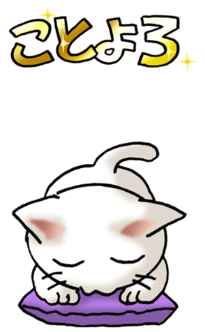 554672776