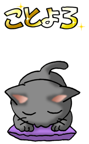554685592