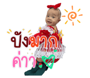 554687252