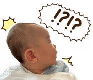 554731586