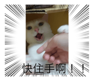 554756551