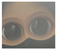 554765588