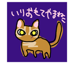 554783037