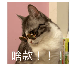 554783924