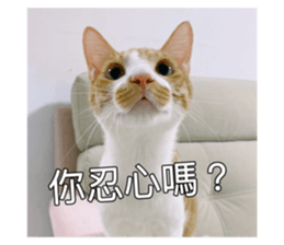 554784752