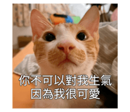 554784755