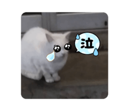 554788275