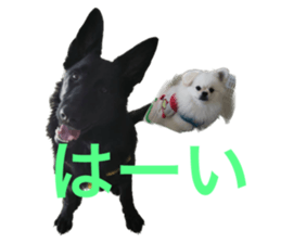 554791346