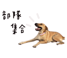554808732