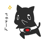 55481370