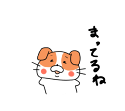 5548147