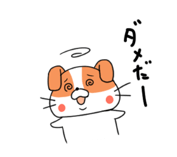 5548149