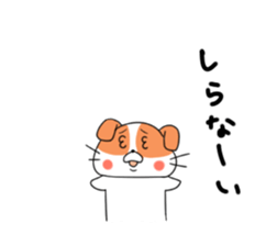 5548155