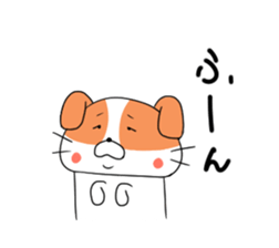 5548160