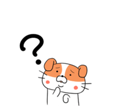 5548161
